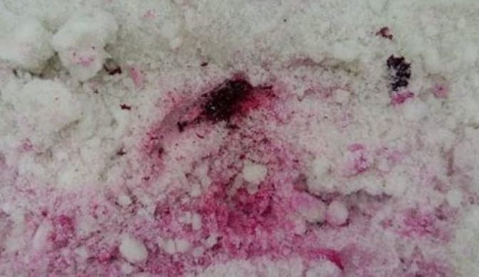 У Львові перевіряють походження розлитої на вулицях «рожевої речовини»