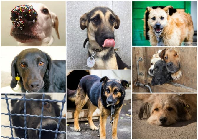 фото: facebook.com/lvivlkplev