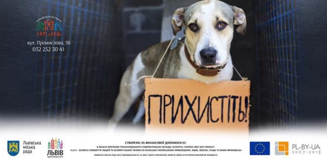 Із білбордів на львів’ян дивитимуться безпритульні тварини