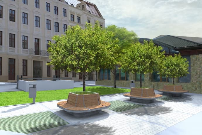 На площі Соборній у Львові висадять декоративні клени