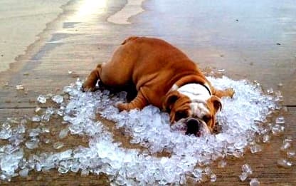 Як зробити приміщення прохолодним без кондиціонера: 10 порад. Інфографіка