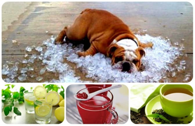 фото: medum.com.ua, tsn.ua, pitatelno.info