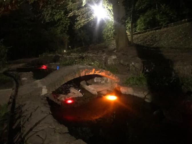 У Стрийському парку відновили каскад струмків. Фото