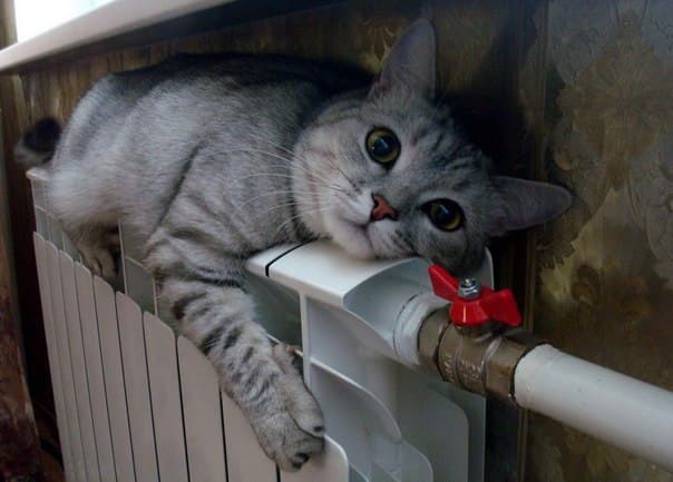 У четвер у Львові планують включити опалення