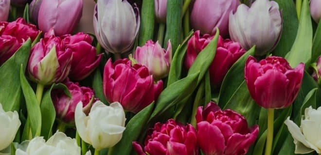 Пенсії, вода у Крим та 8 березня. Головне за ніч і минулу добу