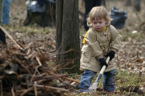 Киян закликають долучитися до толоки на ВДНГ