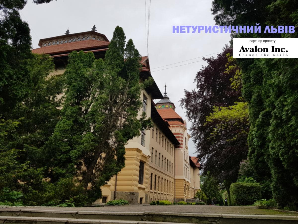 Нетуристичний Львів: «телефонний» храм, чарівна «Подолянка» та «лісова» бурса