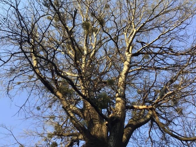 Фото: Олександра Сладкова