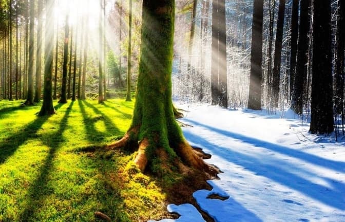 То тепло, то холодно. Якою буде погода під кінець тижня