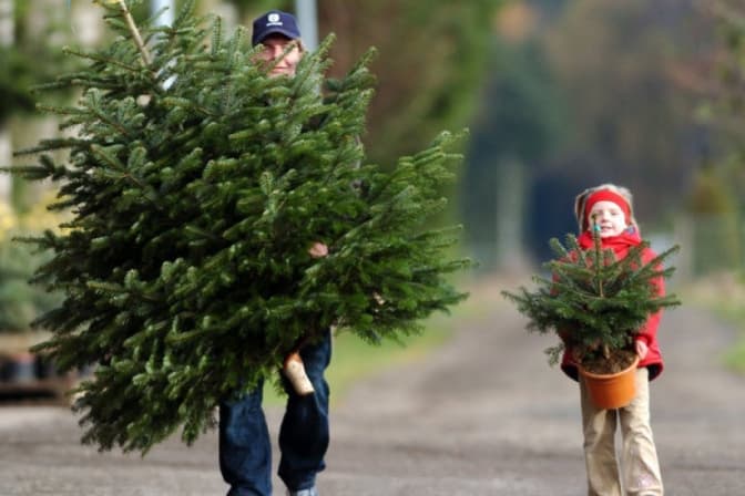 Фото: morgenpost.de