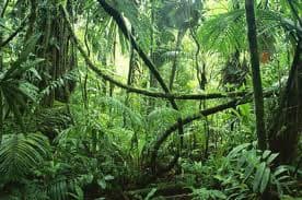 Львів'янам нагадують як уникнути захворювань у тропічних країнах