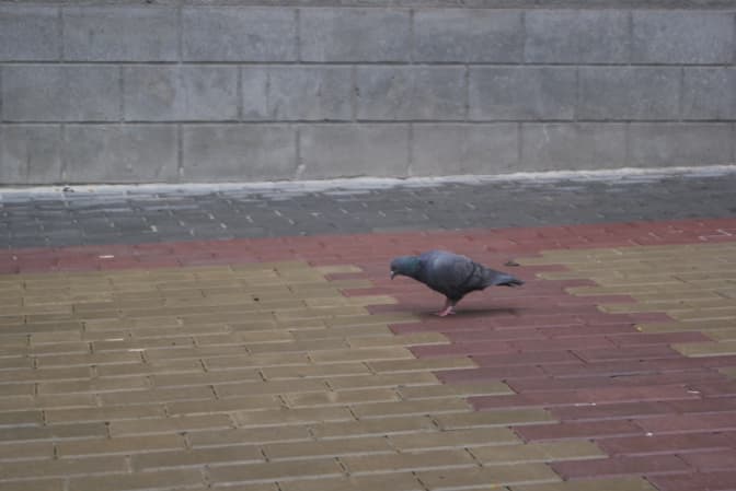 фото: komun.te.ua