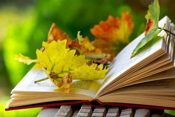 Фото: vsiknygy.net.ua