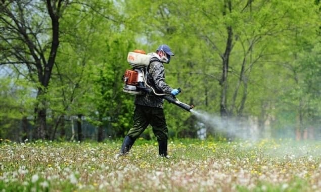 Від сьогодні парки у Львові оброблятимуть від кліщів. Графік