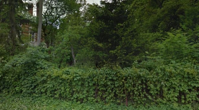 проектована ділянка. фото google street view