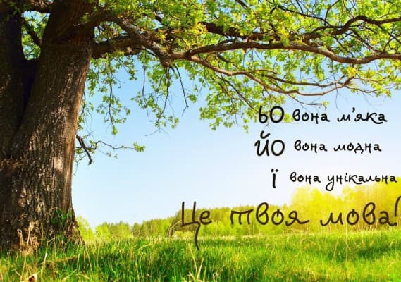 фото: pustunchik.ua