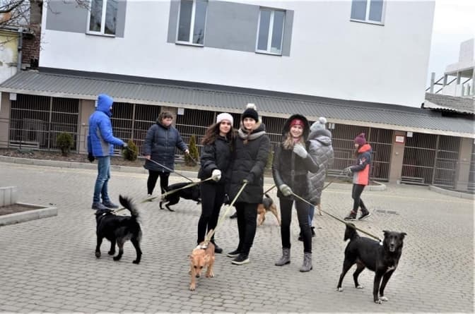 Фото: ЛКП Лев