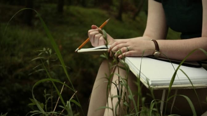 Фото: з відкритих джерел