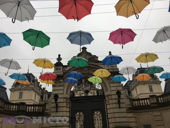 Фото дня: центр Львова прикрасили кольоровими парасолями