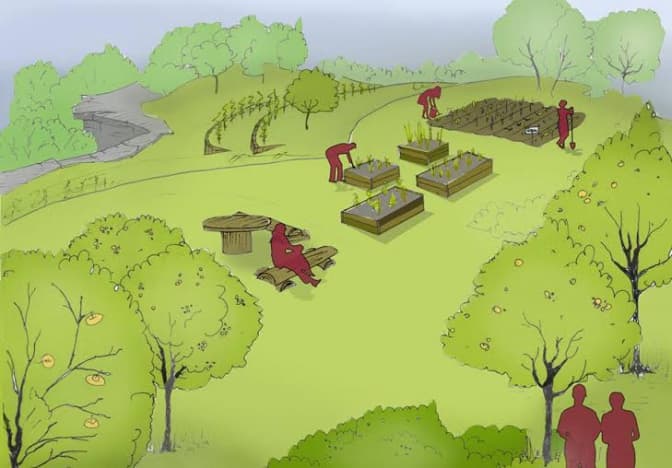 Львів’ян кличуть на воркшоп із втілення першого виноградника на «Знесінні»