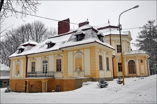Спеціалізовану школу-інтернат у Великому Любіні можуть закрити. У чому причина