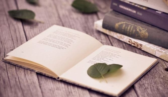 Що почитати: 7 книжкових новинок цієї осені