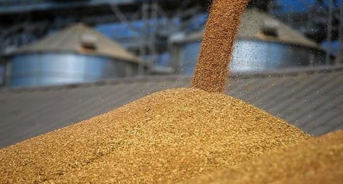 фото умовне