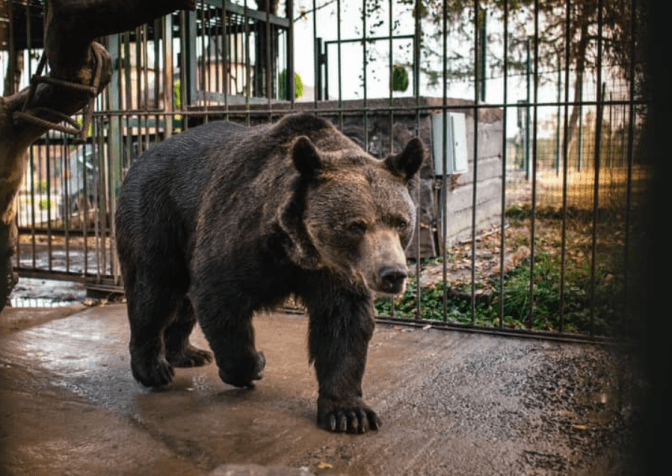 Фото: Фейсбук