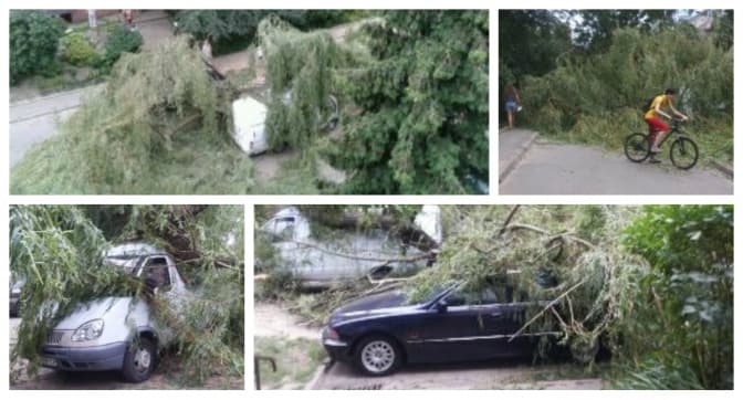 Де ще у Львові вчора впали дерева? Адреси