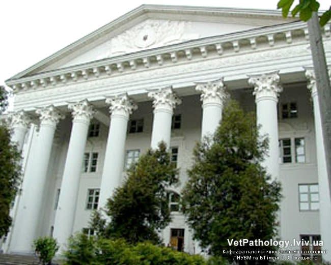 У Львові створять сучасну ветеринарну школу