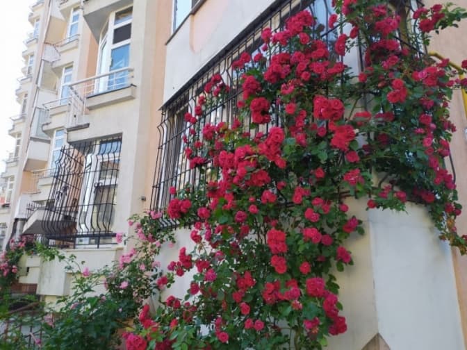 Фото: Depo. Львів