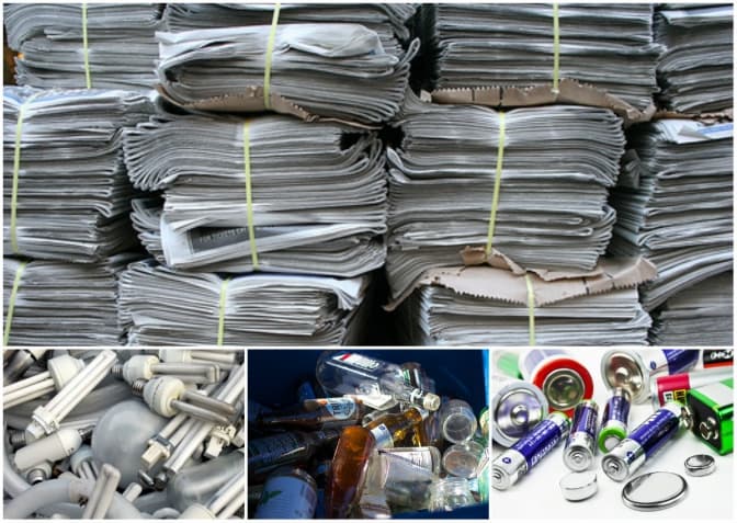 фото: newskraine.com.ua, eveningkiev.com, ecogreenline.com.ua