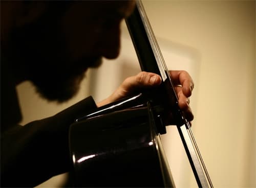 Американський віолончеліст Фред Лонберг-Хольм виступить у Львові