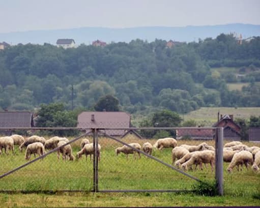 Фото: прес-служба Львівської ОДА