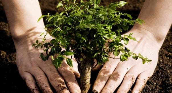 Фото: dzerkalo.media
