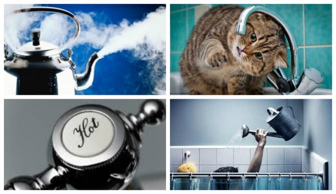 фото: photofact.in.ua, facebook, nastol.com.ua