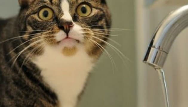 Фото: ukrinform.ua