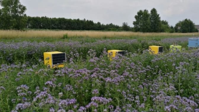 На Київщині з’явиться перша у світі ІТ-пасіка