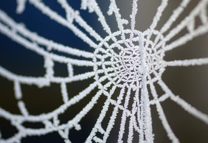 Фото: boston.com