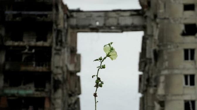 Програма розвитку ООН допоможе відновити пів сотні будинків на Київщині