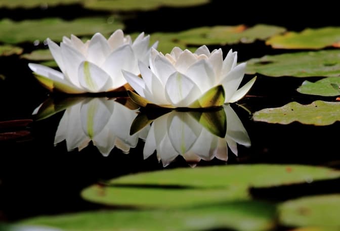 Фото: todaysphoto.org