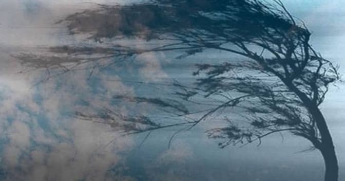 Сильні люди на карантині. Навіть найбільш міцне дерево падає від бурі