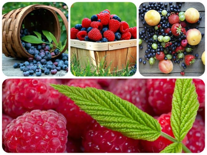 Сезонні ягоди й алергія. Що треба знати?
