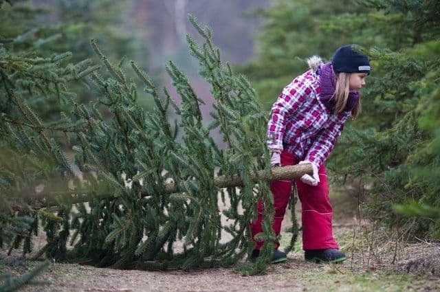 Фото: suspilne.media