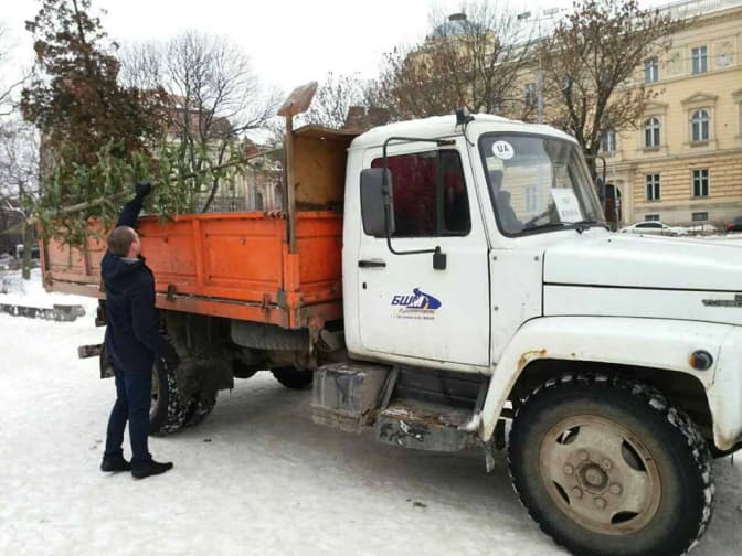 У Львові зібрали понад 200 ялинок, які використають для обігріву теплиць