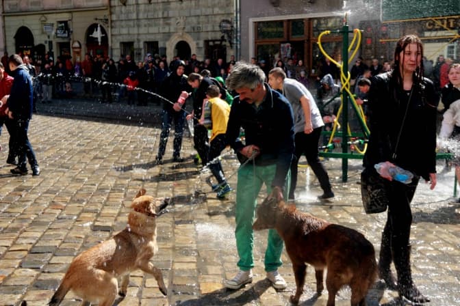 Через площу Ринок тимчасово не курсуватимуть трамваї через поливаний понеділок