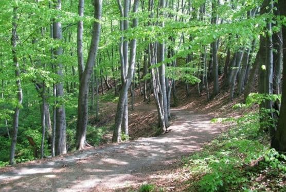 фото: ua-travel.info