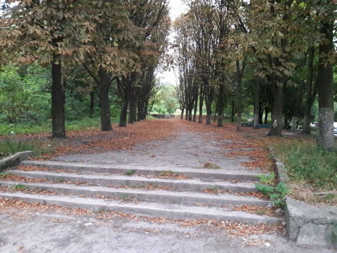 Львів’ян кличуть на толоку до Замарстинівського парку