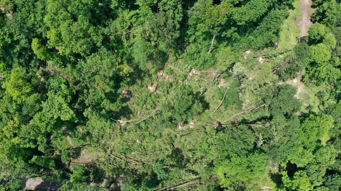Як постраждав парк «Високий замок» після негоди. Фото