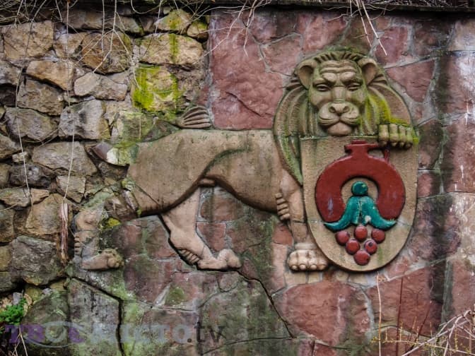 Майно винзаводу на Погулянці продали фірмі з Дніпра за 6 мільйонів